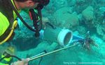catching lionfish aruba