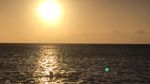 sunset boat snorkel trip