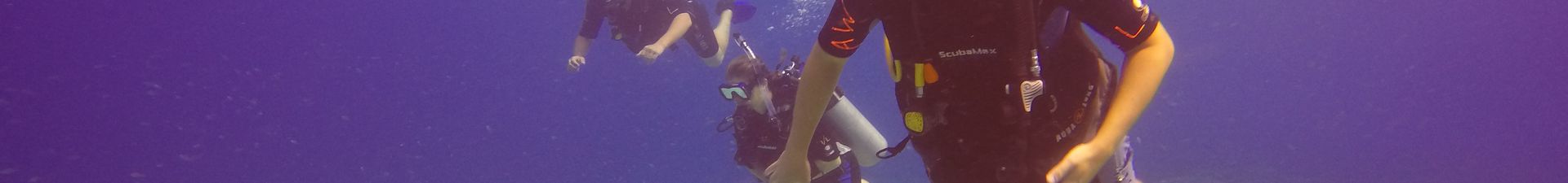 Diving School Aruba (PADI)