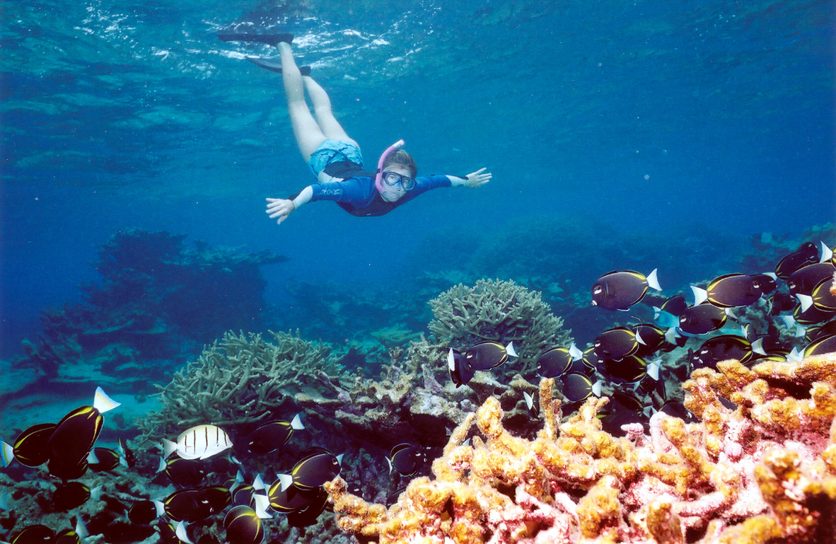 best time to visit aruba for snorkeling