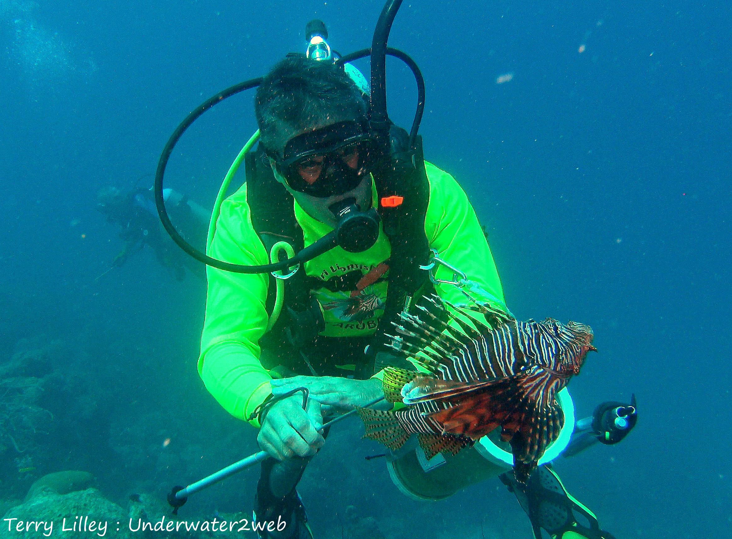 lionfish on spear