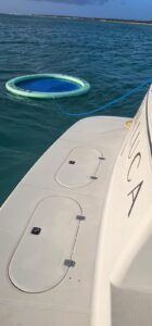 Eden-Luca-Sunchill-3