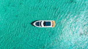 upload-blue-topdown-hero-CvJ9tmh3